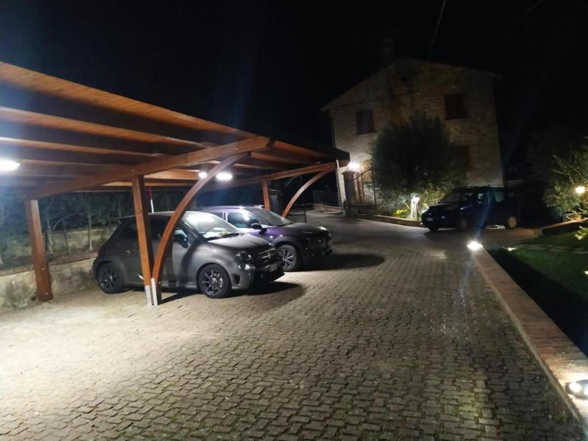 La Folaga Del Trasimeno