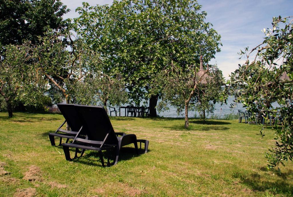 La Folaga Del Trasimeno Magione